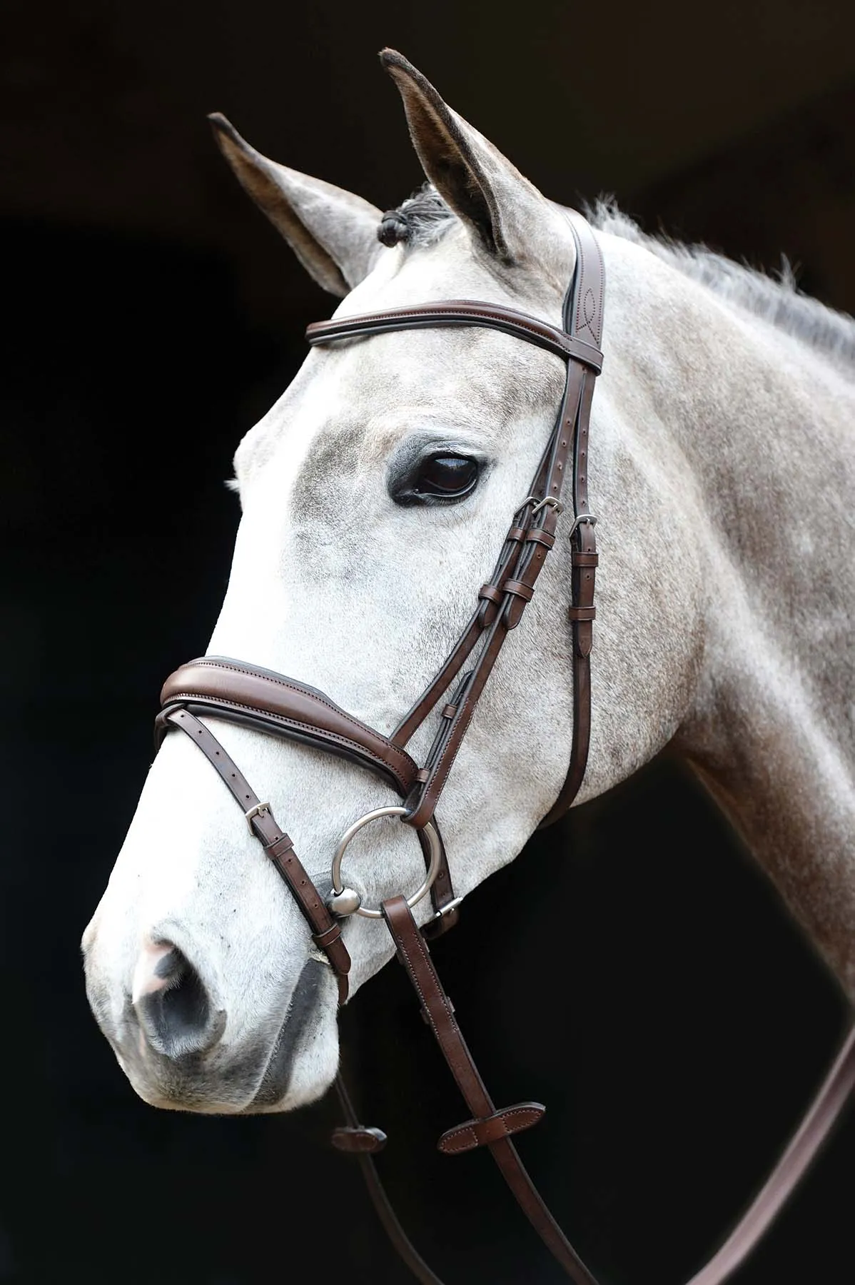 Collegiate Mono Crown Padded Raised Flash Bridle