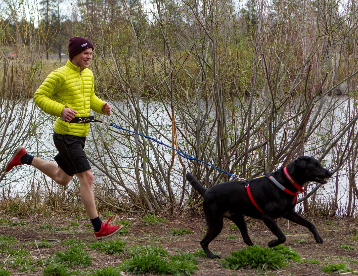 Urban Trail® JOGGERS LEASH