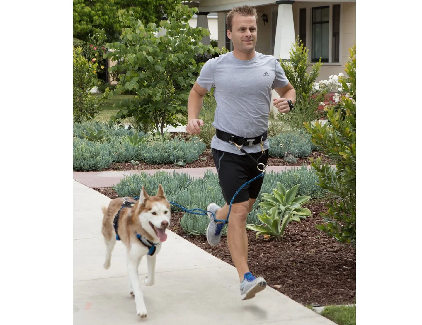 Urban Trail® JOGGERS LEASH